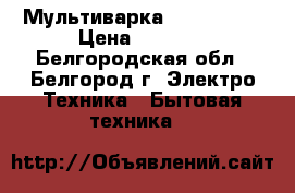 Мультиварка ORION mt01 › Цена ­ 1 300 - Белгородская обл., Белгород г. Электро-Техника » Бытовая техника   